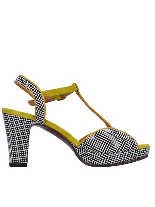  CHIE MIHARA | EDUNI38 MIRANDANERO-CURRY